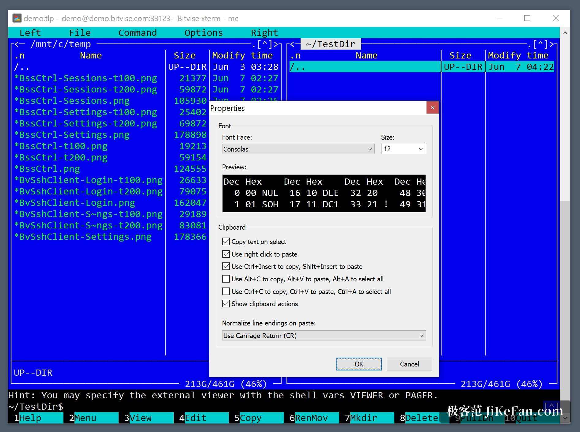Bitvise SSH Client 的 xterm 终端界面