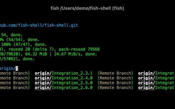 fish：不用配插件就有的自动补全，命令行能省多少事