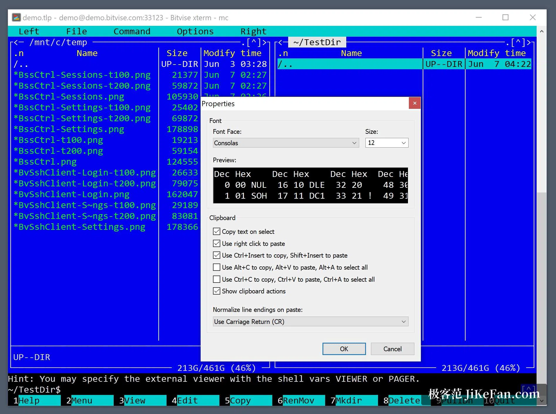 Das xterm-Terminal von Bitvise SSH Client