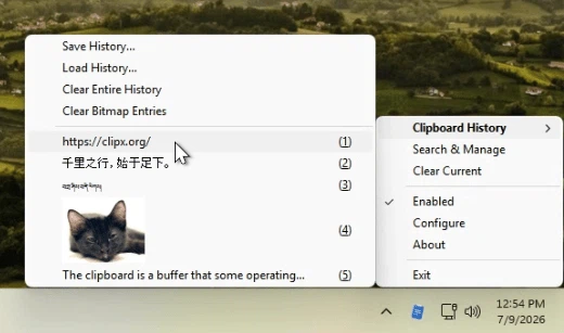ClipX