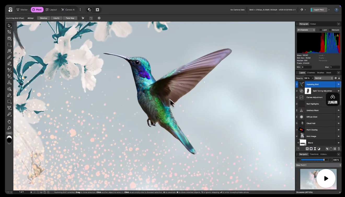 espace de travail de Affinity Photo
