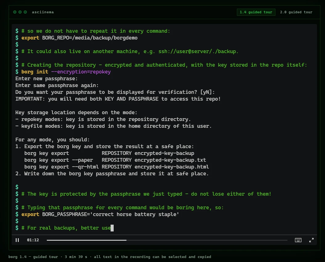 BorgBackup repository and archive list
